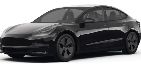 TESLA MODEL 3 2022 5YJ3E1EB3NF334434 image